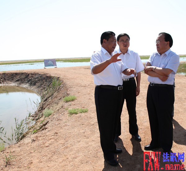 ���ٹ�������������