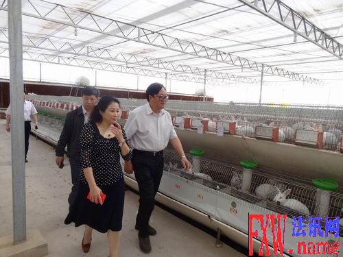 ��贾ֳ��Ӳ��������ж����鲢����