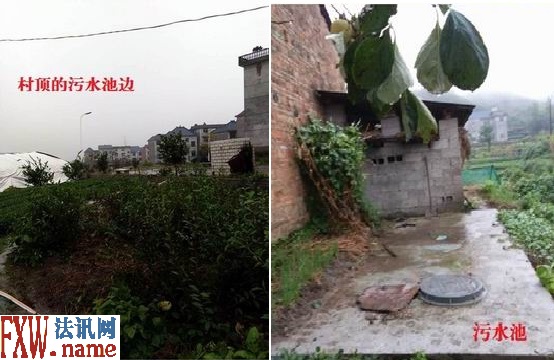 �����֧�����ţ!�㽭�����������ֵ���Դ��������ظ������Υ���Ҽ� 